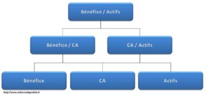 Schéma de décomposition du ROI