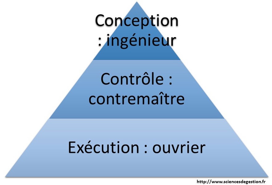 LE TAYLORISME 1 Premier Principe : La Division Verticale Du Travail